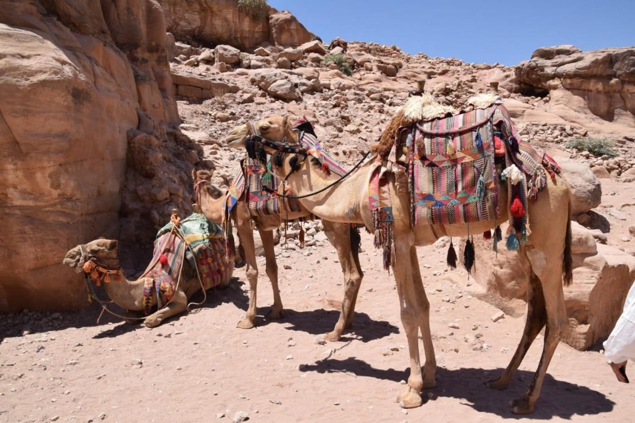 Jamal Rum Desert Wadi Rum Zewnętrze zdjęcie